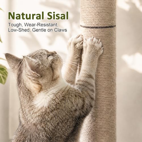 40" Cat Scratching Post