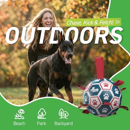 Large Outdoor Dog Toy (Blue-Red / Ultra Large Size 7 (10 Inch))