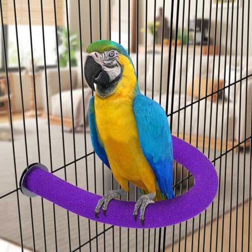 U Shaped Large Parrot Perch (X-Large / Purple)