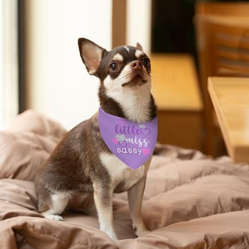 Puppy Bandana 2 Pcs (Sassy)