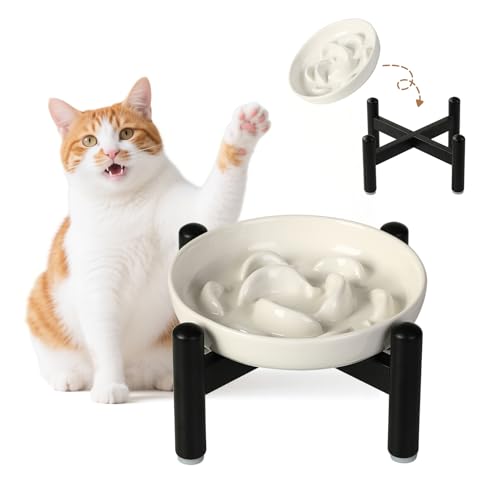 Elevated Ceramic Slow Feeder Cat Bowl (White Raised (Metal) / 3.9"H Raised (Metal))