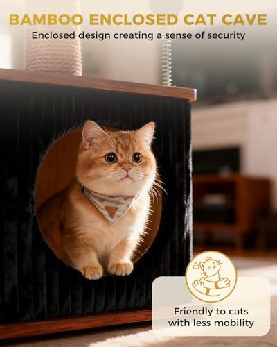 Small Cat Tree for Indoor Kittens (Walnut Finish / Small)