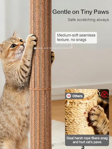 Cat Scratching Post with Snack Ball & Feather Toys for Kitten