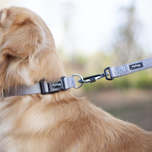 Gray Dog Collar for Medium Dogs (Medium / Sleet Gray)
