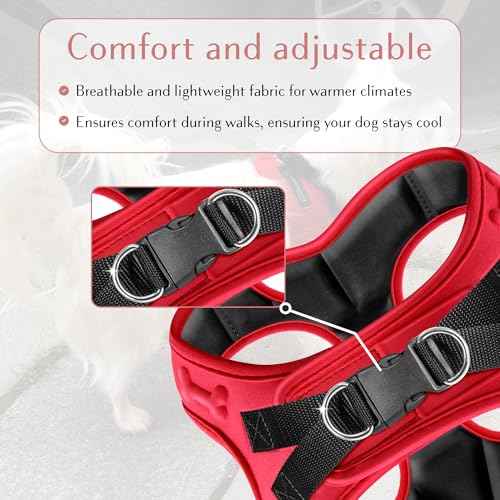 Comfort fit Step (M (Chest 17"-18.5") / Red)