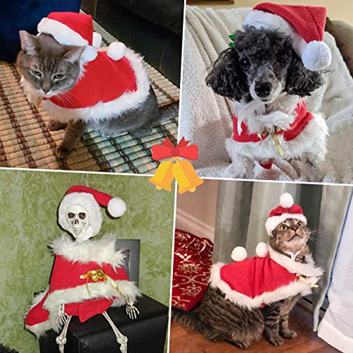 Cat Christmas Costume (Christmas Costume)
