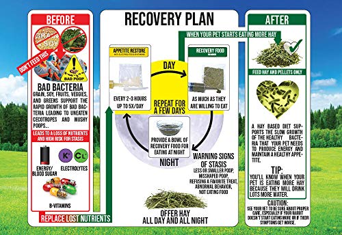 Rabbit Emergency kit and Bulk Recovery Food