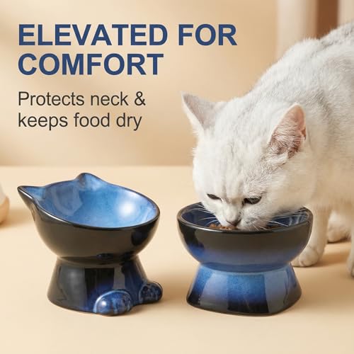 Elevated Cat Bowls (6.8 OZ+15.5 OZ / Blue & Black)