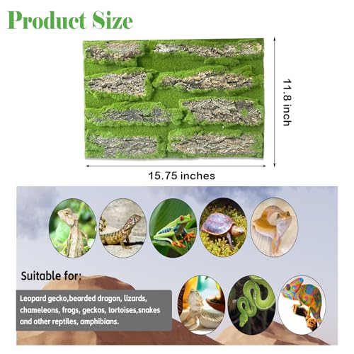 Reptile Terrarium Cork Background