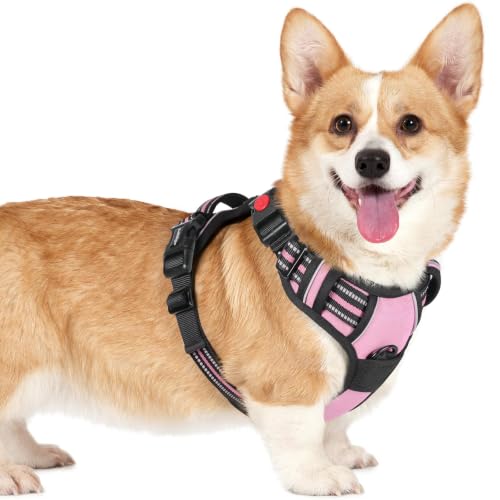 Dog Harness Small Sized (Small / Pink)