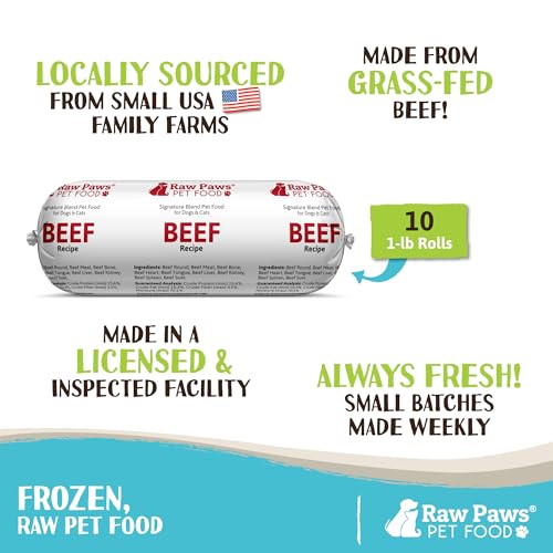 Frozen Raw Beef Recipe Dog & Cat Food (1 Pound (Pack of 10))