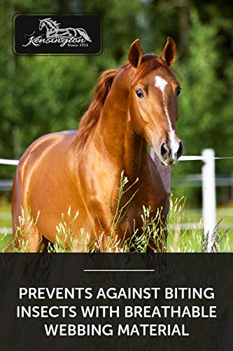 Horse Fly Mask (500 - Desert Sand)