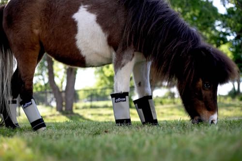 Warrior Fly Boots for Horses (Lil Warrior / Gray)