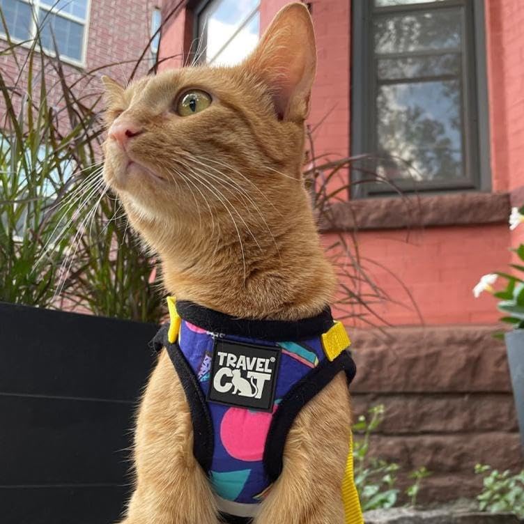 Travel Cat Harness and Leash Set (Small / 90s Cat)
