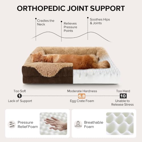 Orthopedic Dog Bed for Large Sized Dog (Brown / 38"L x 28"W x 7"T)