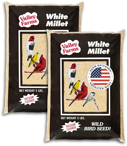 White Millet Wild Bird Seed 5 LB 2 (5 Pound (Pack of 2))