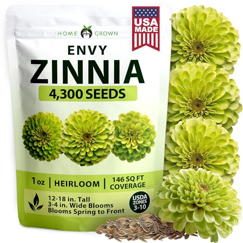 Envy Zinnia 4