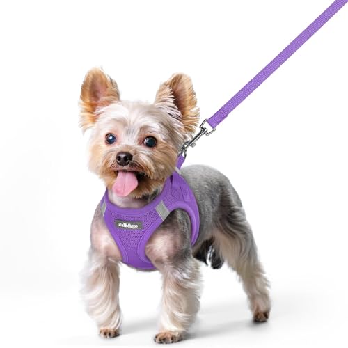 Dog Harness Small Sized and Leash Set (Purple / Xs (chest: 13.3 - 15.5"))
