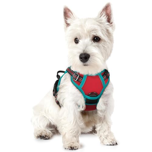 Dog Harness No Pull for Small Dogs with 2 Leash Clips (X-Small / Red & Teal)