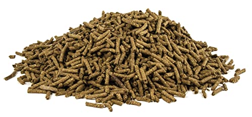 Equine Skin and Allergy