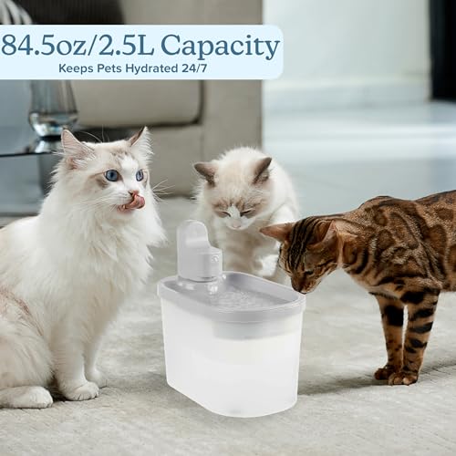 Cat Water Fountain (BPA-Free Plastic (ABS))