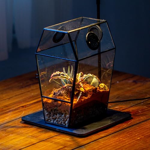 Gothic Glass Enclosure for Jumping Spider