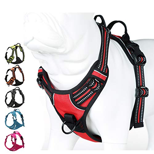 Truelove No Pull Dog Harness with Easy Control Handle and 2 Leash Attachments (X-Small / Red)