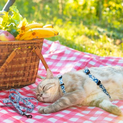 Cat Harness and Leash Set (Small / Blue)