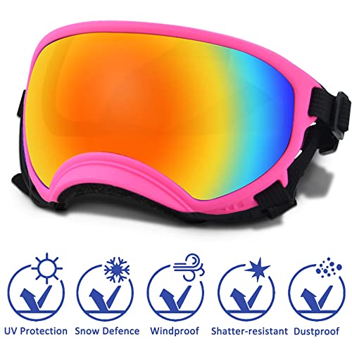 Large Dog Sunglasses