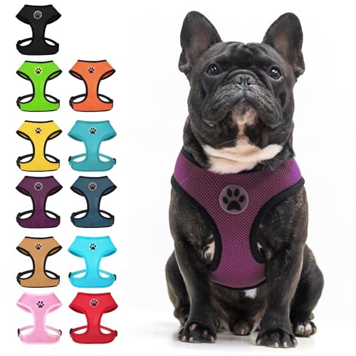 Small Dog Harness (M (NECK: 14", CHEST: 17"-21") / Purple)
