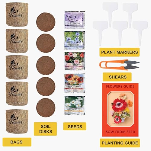Indoor Daisy Garden Starter Kit with Gardening Tools