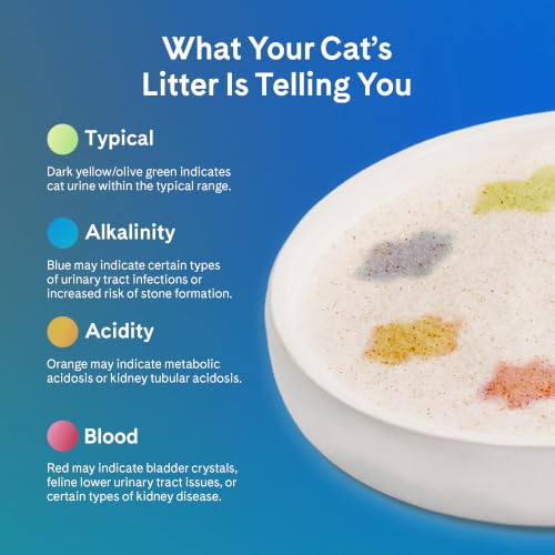 PrettyLitter Health Monitoring Cat Litter (6 LB (Pack of 4))