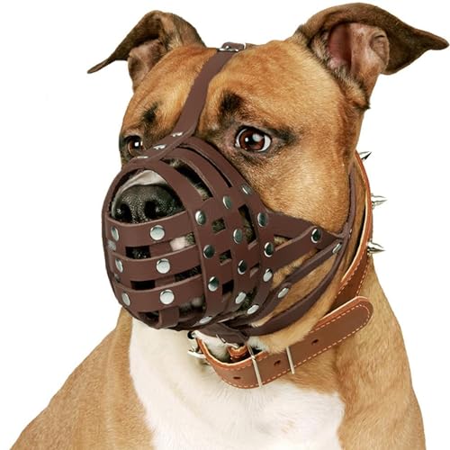 Leather Basket Muzzle for Pitbull & Amstaff (Brown Strap)