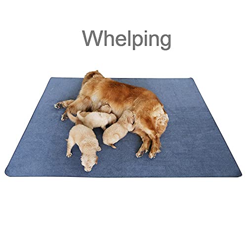 Non Slip Dog Pee Pad 65"x48" Washable (65x48 Inch（Pack of 1))