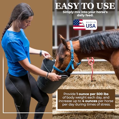 Economy Equine Supplement (10 Pound (Pack of 1))
