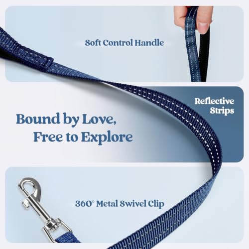 Dog Harness Small Sized and Leash Set (Navy Lemon / S (chest: 15.1 - 16.5"))