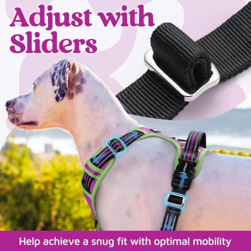 Dog Harness Medium Sized (Purple & Light Green / Medium)