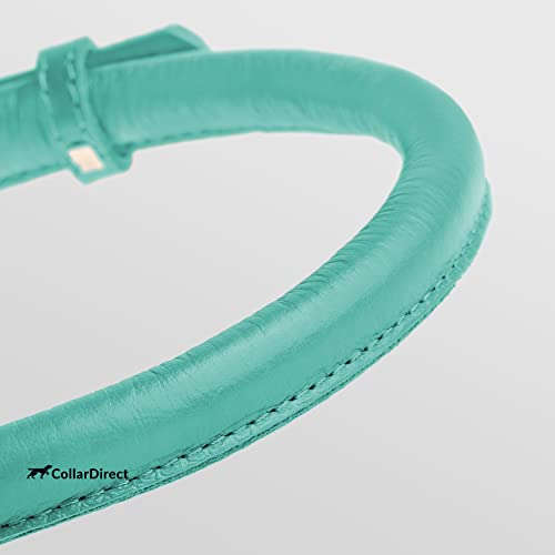 Tangle Free Rolled Leather Dog Collar