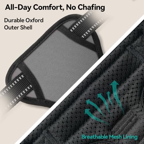 No Pull Dog Harness Medium Reflective Front Clip Vest with Handle (Medium / Gray)