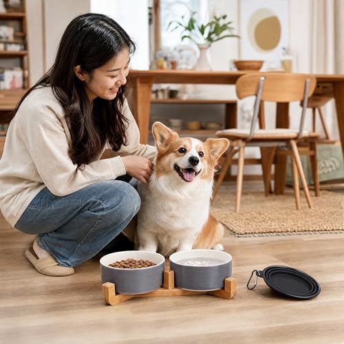 Ceramic Cat Dog Bowl Set with Wood Stand (Grey White / 400ML*2)
