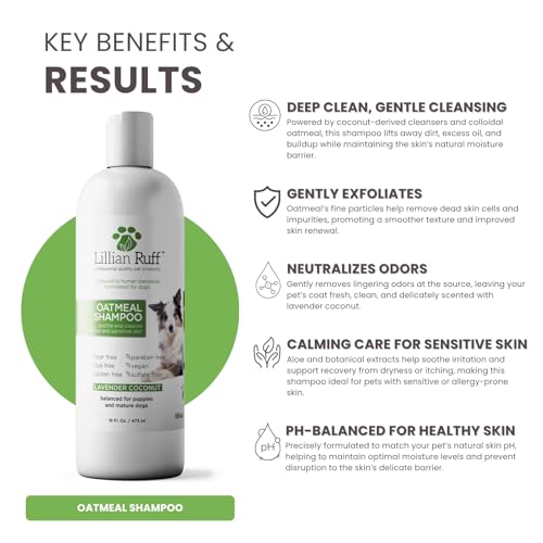 PRO Formula Deodorizing Oatmeal Dog Shampoo