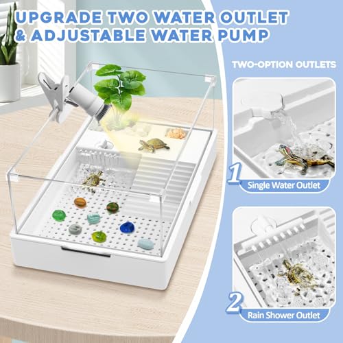 Small Turtle Tank Kit