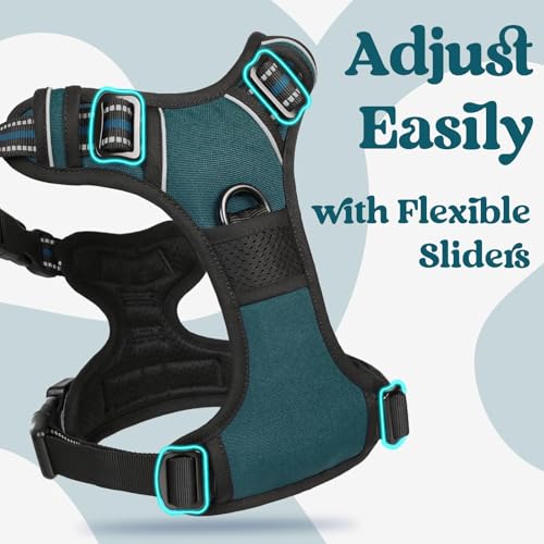 Dog Harness Medium Sized (Medium / Blue Coral)