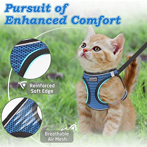 Cat Harness and Leash for Walking Escape Proof (M / Blue)