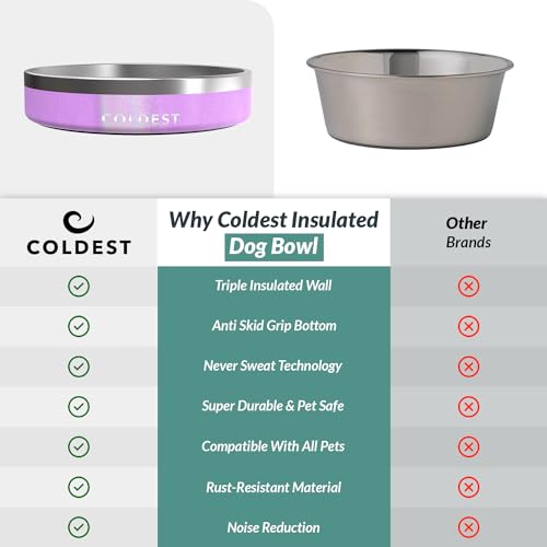 Coldest Dog Bowl (21 oz / Saturns Purple Glitter)