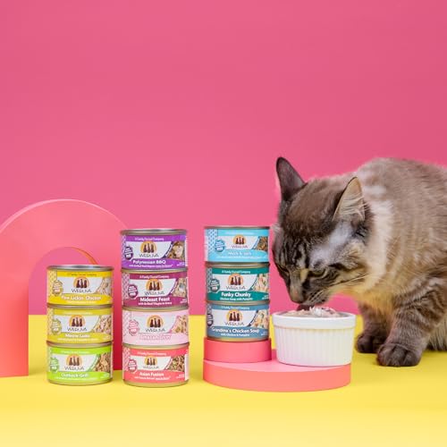 Classic Cat Food (5.5 Ounce (Pack of 24))