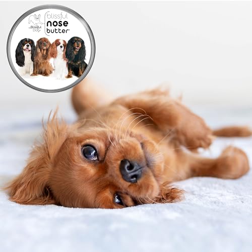 Cavalier King Charles Spaniel Unscented Nose Butter (Cavalier King Charles Spaniel - All / 8 Ounce)
