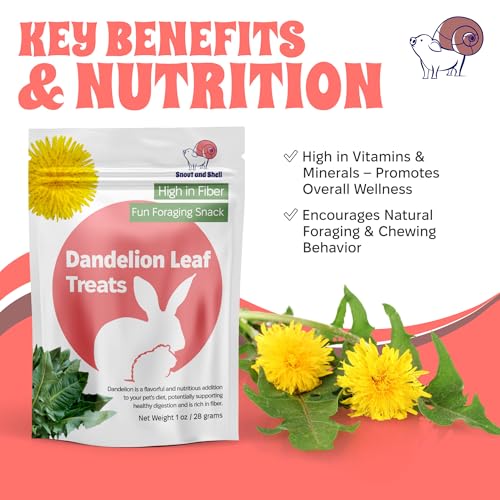 Dandelion Leaf Treat for Small Pets