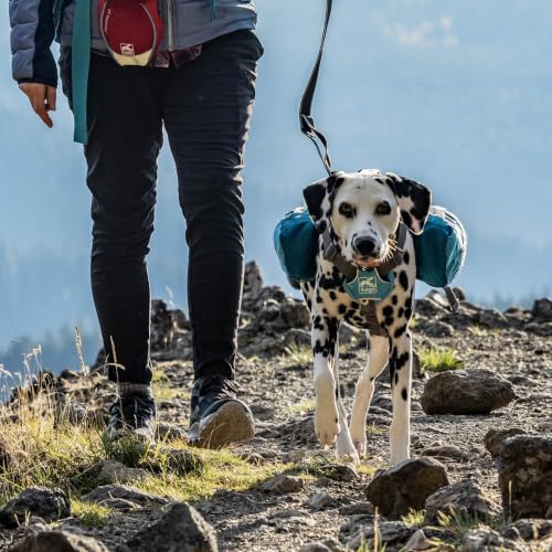 Big Baxter Dog Backpack Harness (Big Baxter / Coastal Blue)