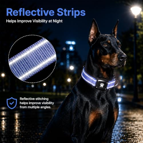 GPS Dog Collar with Tracker (Blue / XS(10.5''-13.5''))